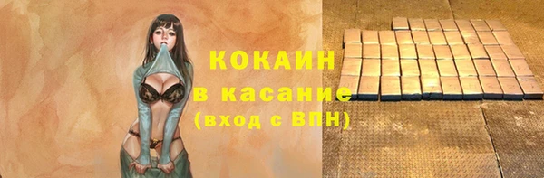 индика Вязники