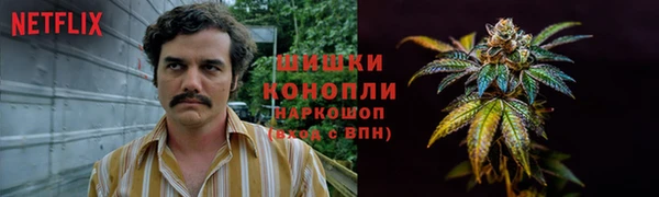 индика Вязники
