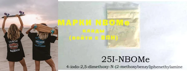 индика Вязники