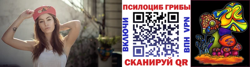 Псилоцибиновые грибы ЛСД МЕГА зеркало Гусиноозёрск купить наркоту